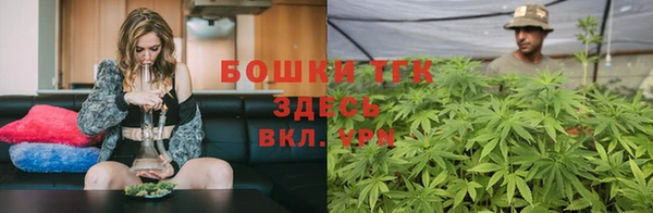 тгк Осинники