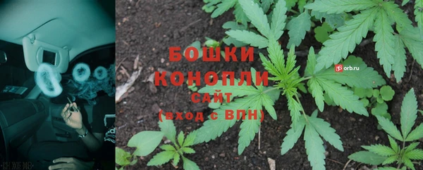 PSILOCYBIN Осташков