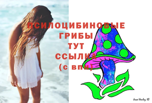 PSILOCYBIN Осташков