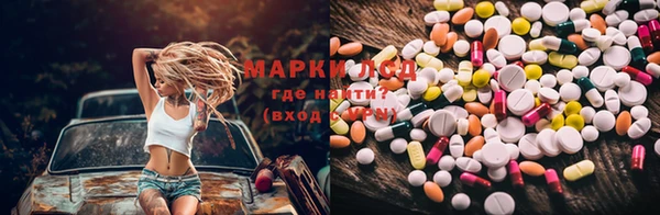 PSILOCYBIN Осташков