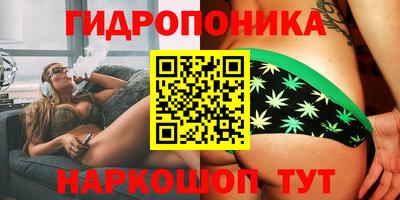 a pvp Аргун