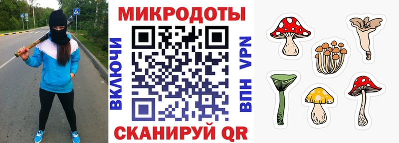 Галлюциногенные грибы ЛСД  Кропоткин 