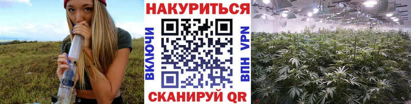 закладка  Кропоткин  Канабис индика 